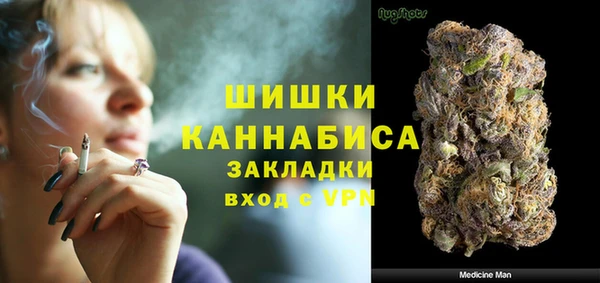 ECSTASY Бородино