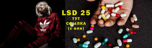 гидра Бугульма