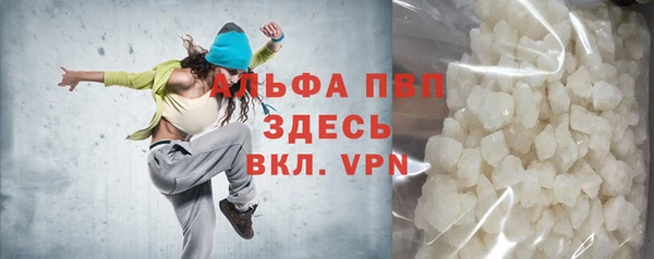 ECSTASY Бородино