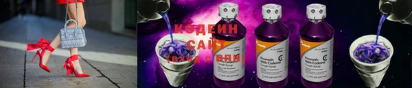 ECSTASY Бородино