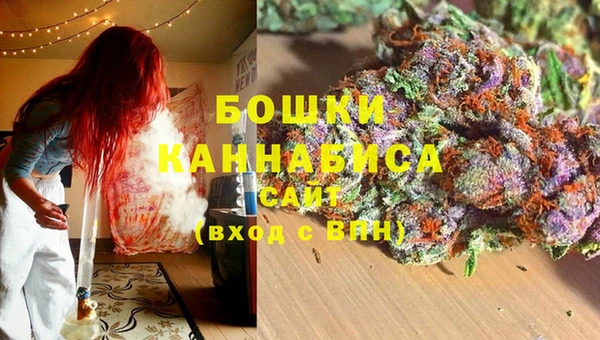 ECSTASY Бородино