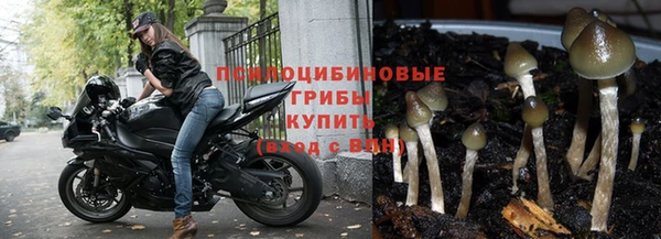 гидра Бугульма