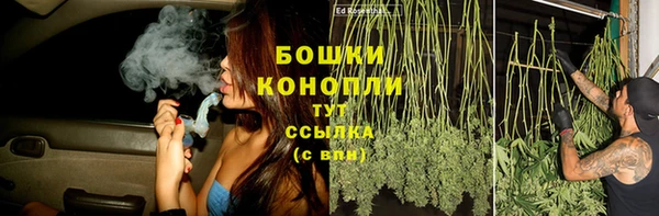 ECSTASY Бородино