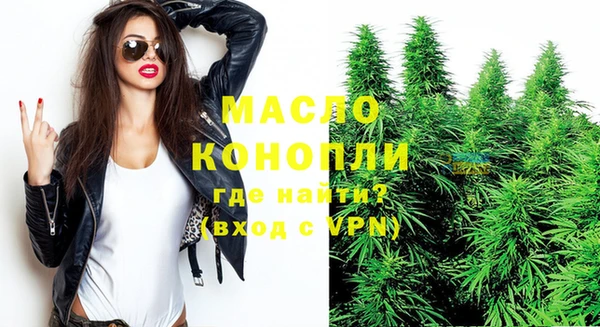 ECSTASY Бородино