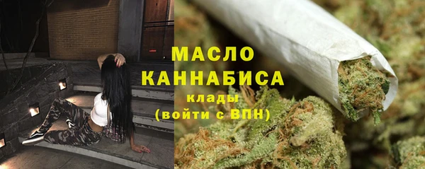 ECSTASY Бородино