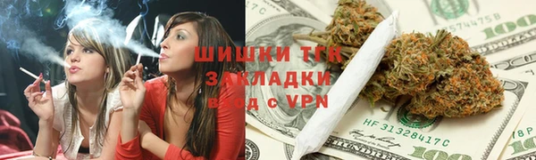 ECSTASY Бородино