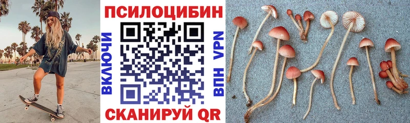 Псилоцибиновые грибы мухоморы  OMG как войти  Невьянск 